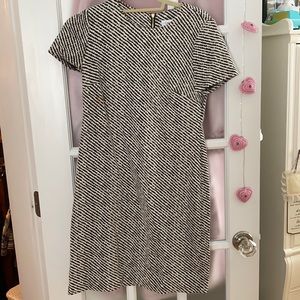 Calvin Klein Black & White Dress